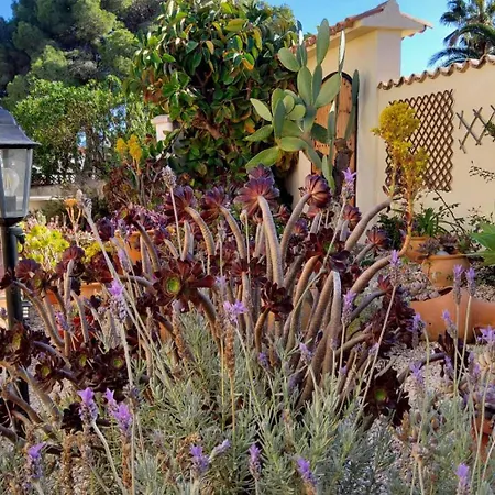 Casa Carolina Oasis With Heated Pool * Benissa