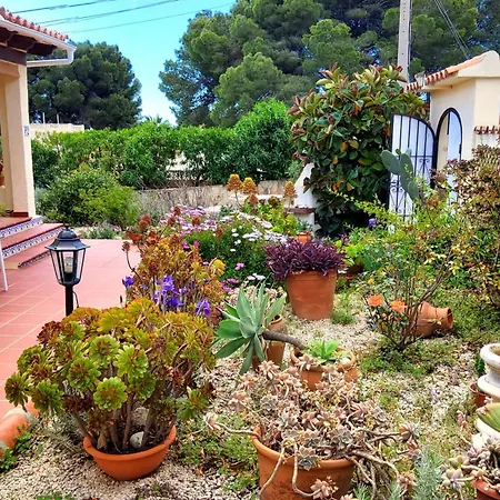 Villa Casa Carolina Oasis With Heated Pool *
